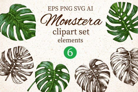 Download Monstera Clipart Set Elements - Premium Resources
